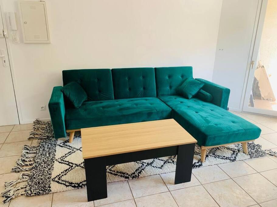 Appartement Rangeuil Τουλούζη Εξωτερικό φωτογραφία