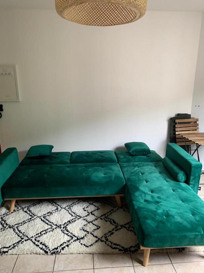 Appartement Rangeuil Τουλούζη Εξωτερικό φωτογραφία